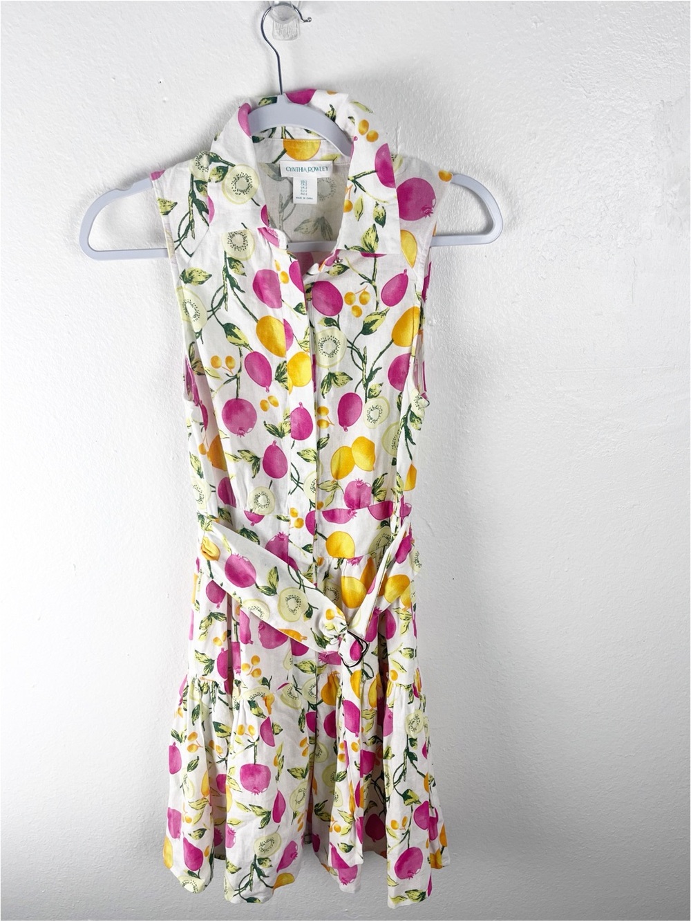 CYNTHIA ROWLEY Linen Blend Fruit Graphic Belted Waist Pockets Lined Dress Size 2